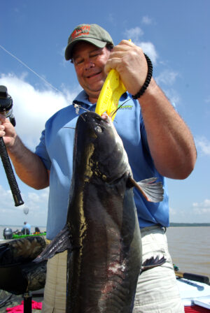 Blue Catfish 015