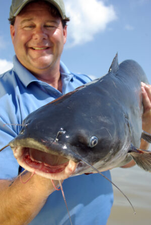 Blue Catfish 016