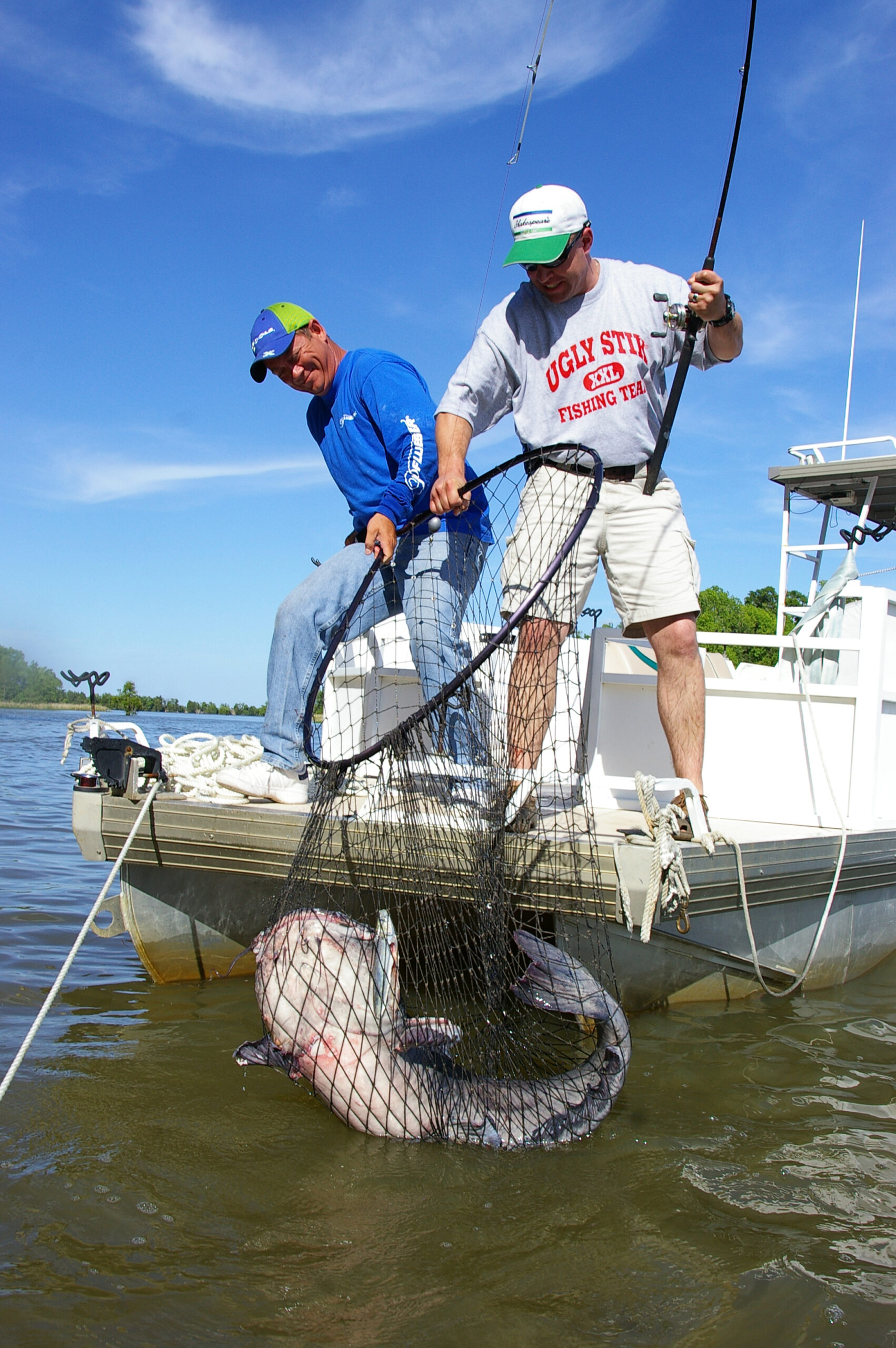 Blue Catfish 018