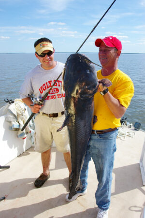 Blue Catfish 019