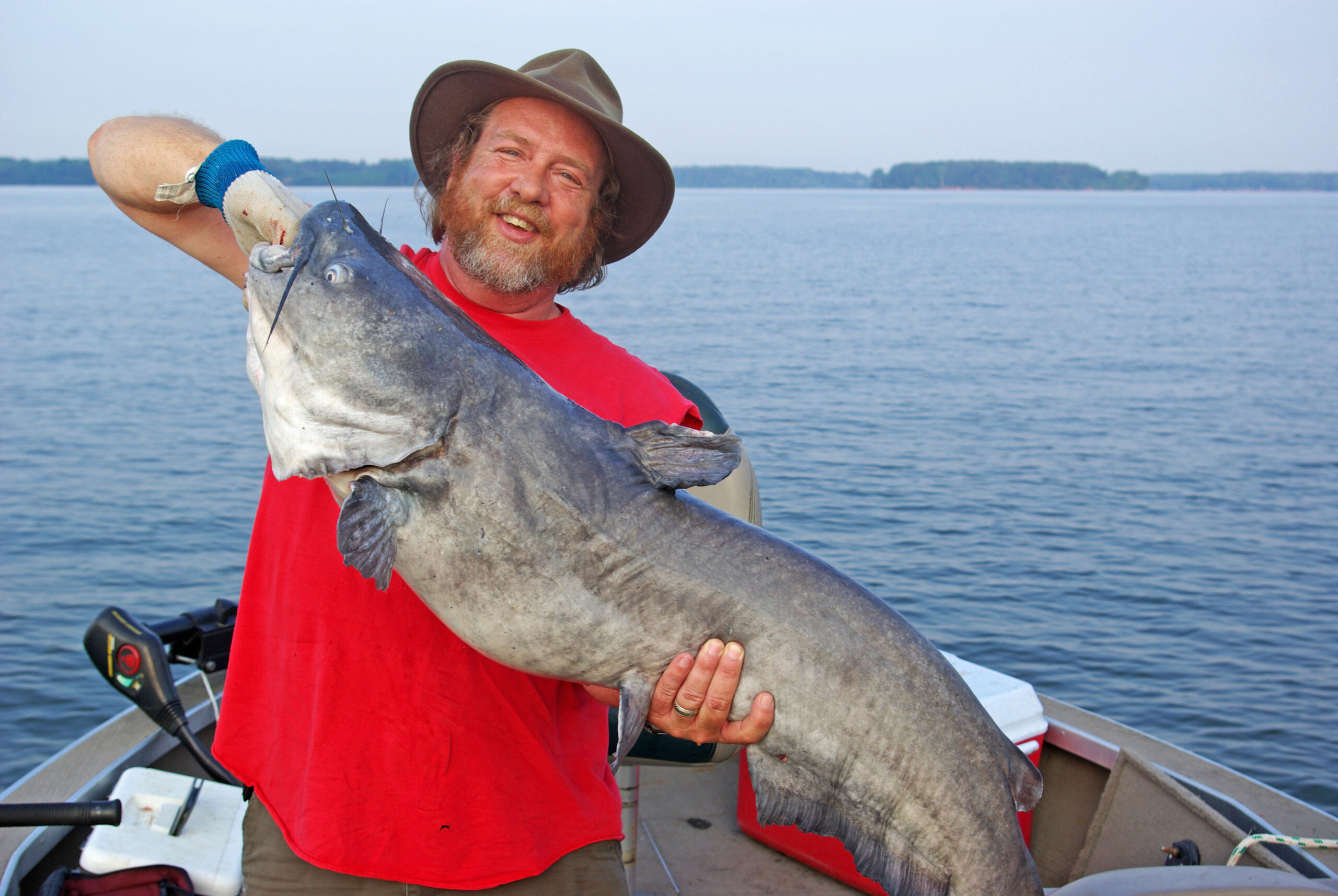 Blue Catfish 023