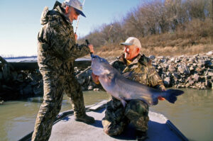 Blue Catfish 025