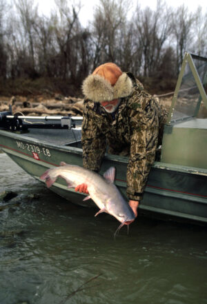 Blue Catfish 030