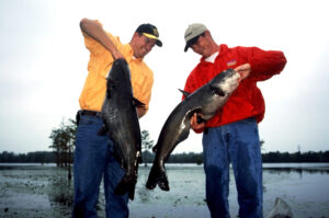 Blue Catfish 037