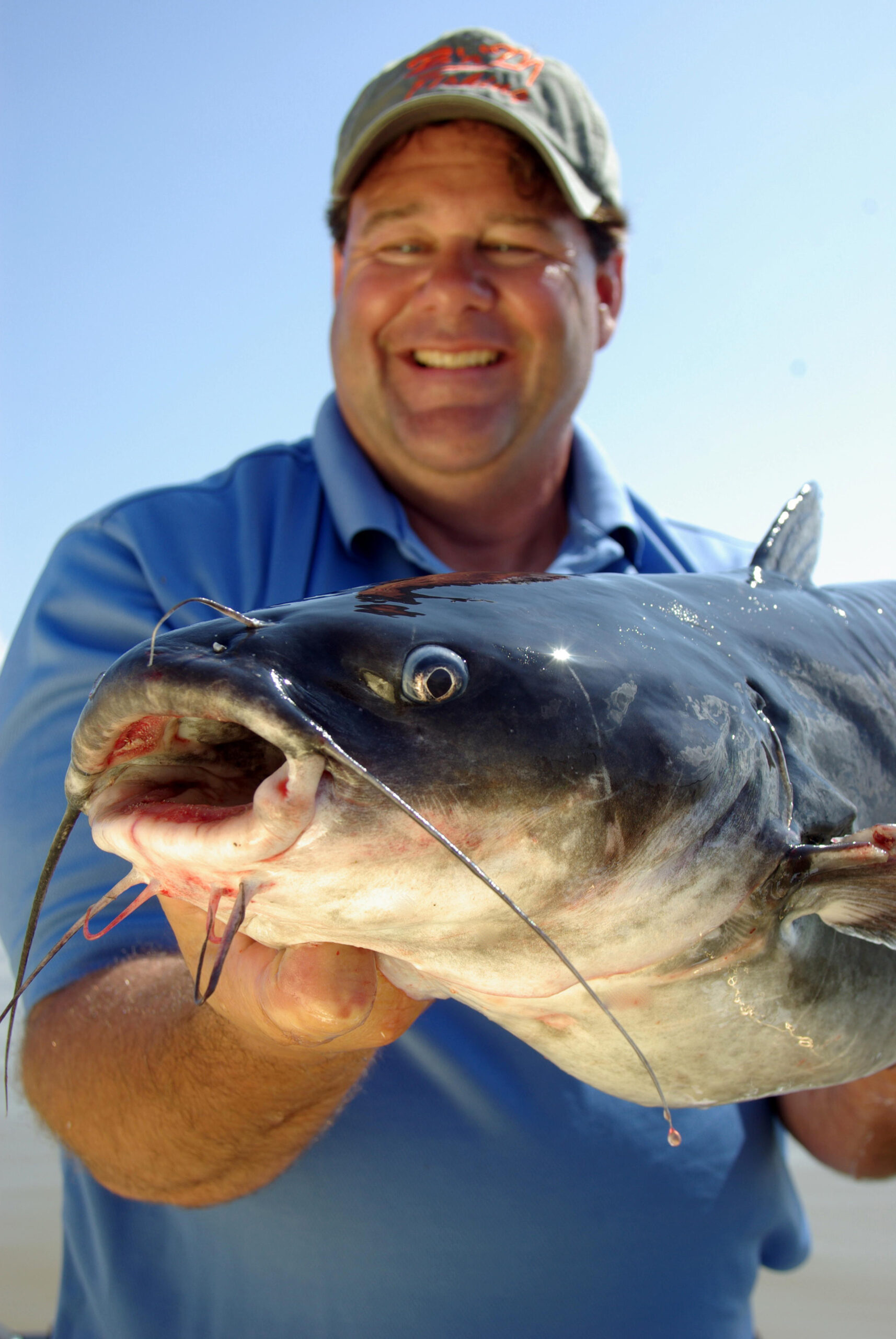 Blue Catfish 042