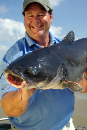 Blue Catfish 043