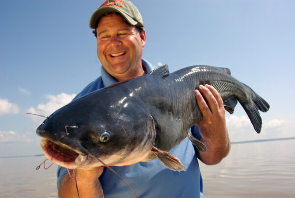 Blue Catfish 044