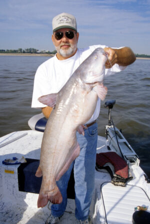 Blue Catfish 047