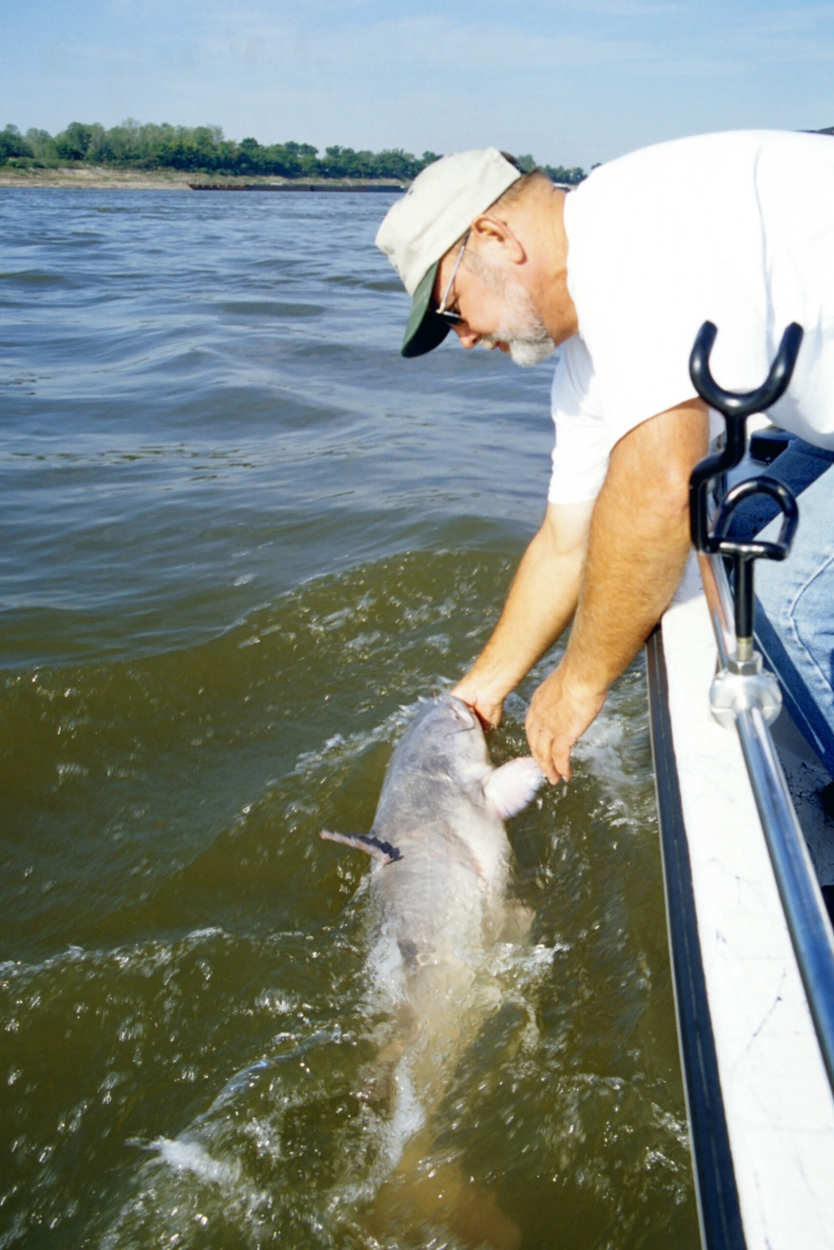 Blue Catfish 048