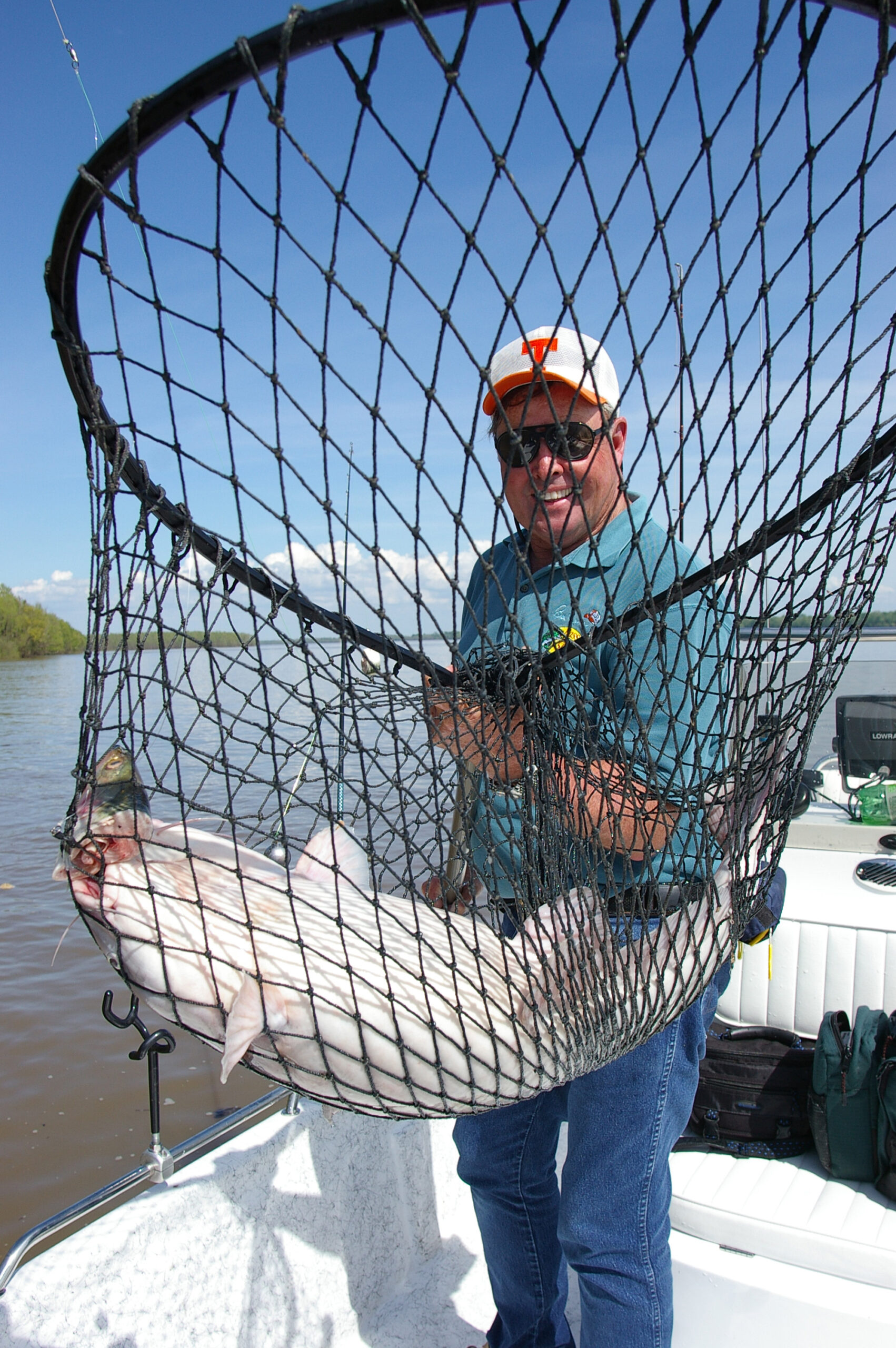 Blue Catfish 051