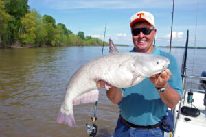 Blue Catfish 052