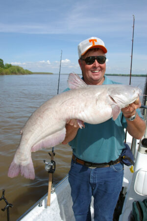 Blue Catfish 054