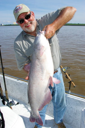 Blue Catfish 058