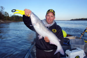 Blue Catfish 062