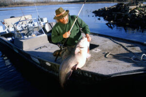 Blue Catfish 078