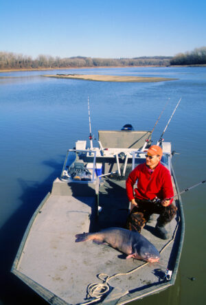 Blue Catfish 081