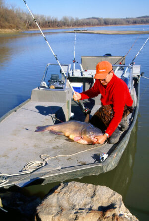 Blue Catfish 082