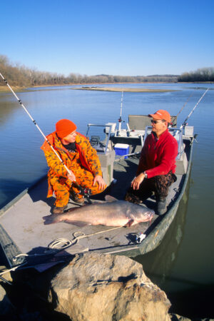 Blue Catfish 095