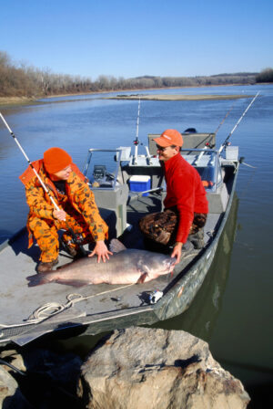 Blue Catfish 096