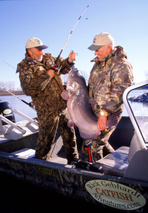 Blue Catfish 098