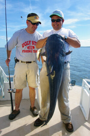 Blue Catfish 119