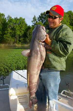 Blue Catfish 124