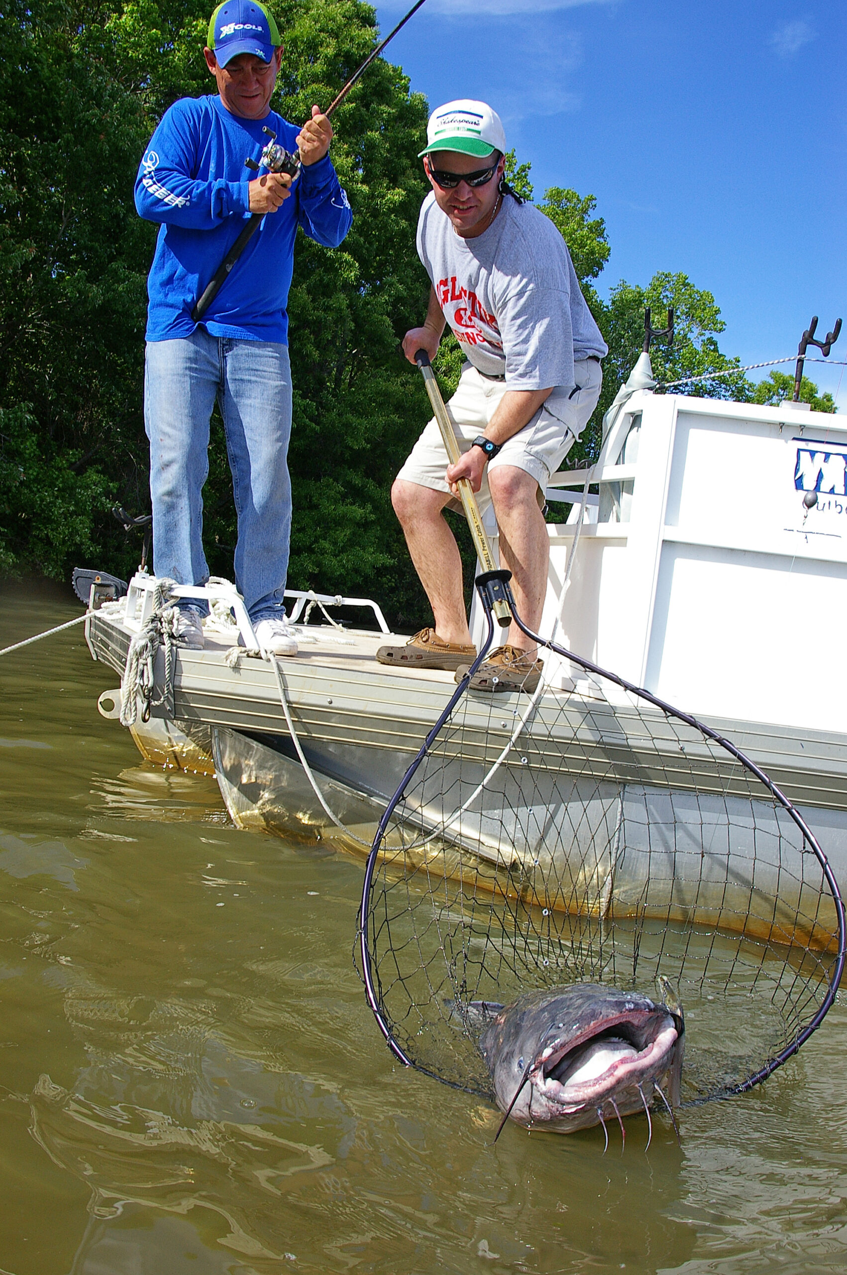 Blue Catfish 134