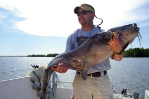 Blue Catfish 138