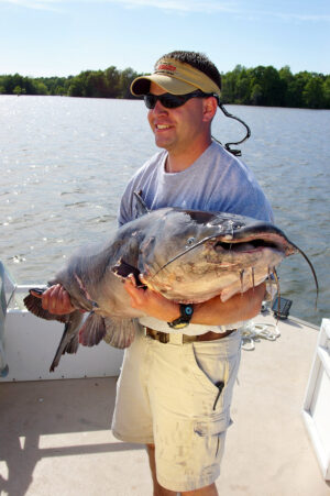 Blue Catfish 139