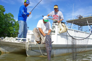 Blue Catfish 140