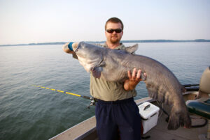 Blue Catfish 145