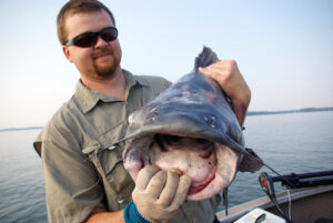 Blue Catfish 146