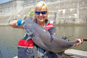 Blue Catfish 150