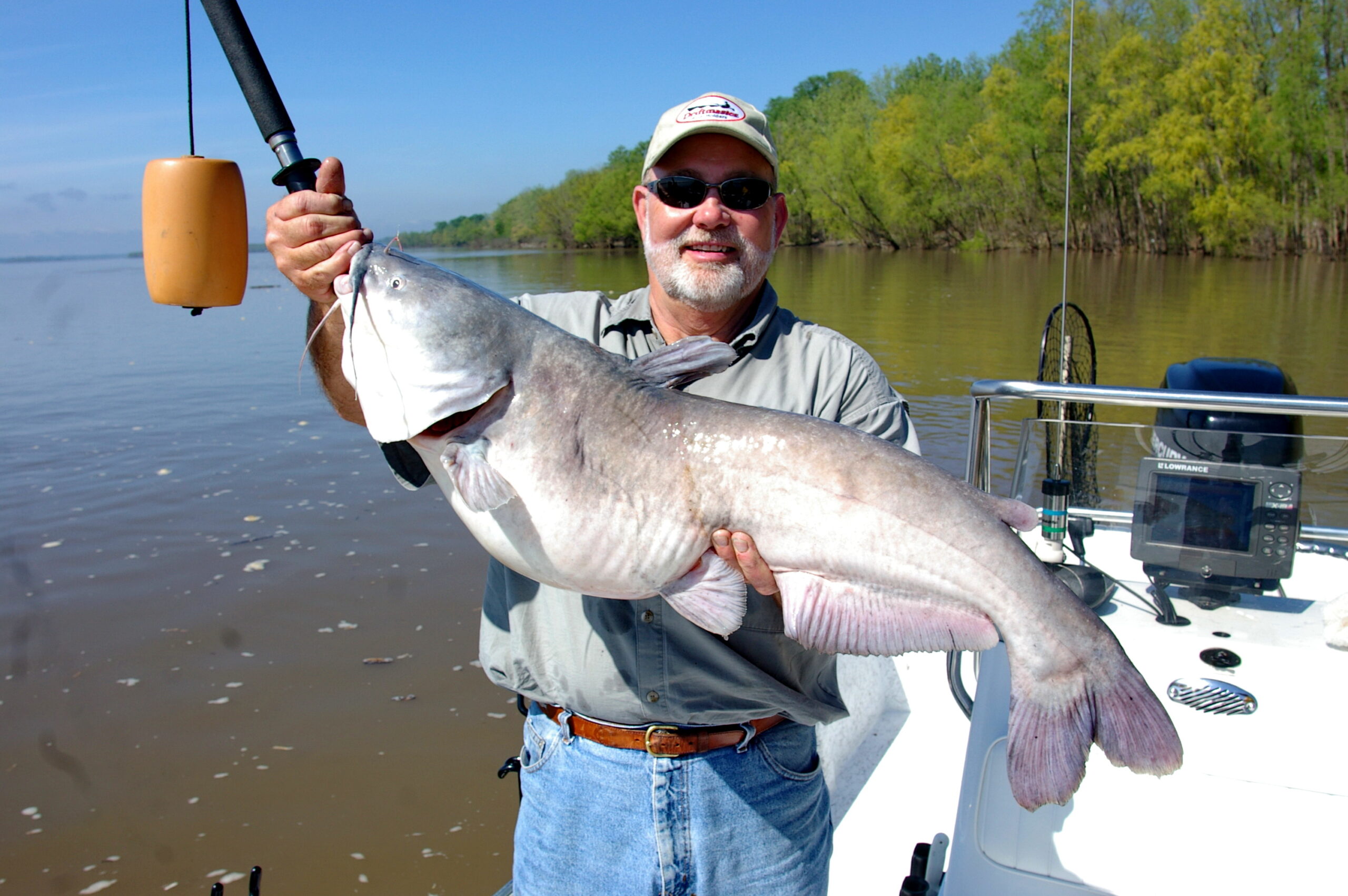 Blue Catfish 181