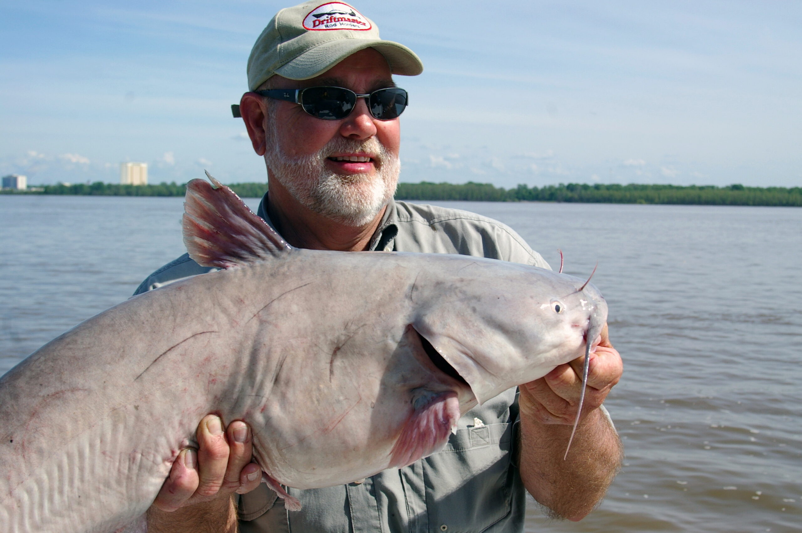 Blue Catfish 182