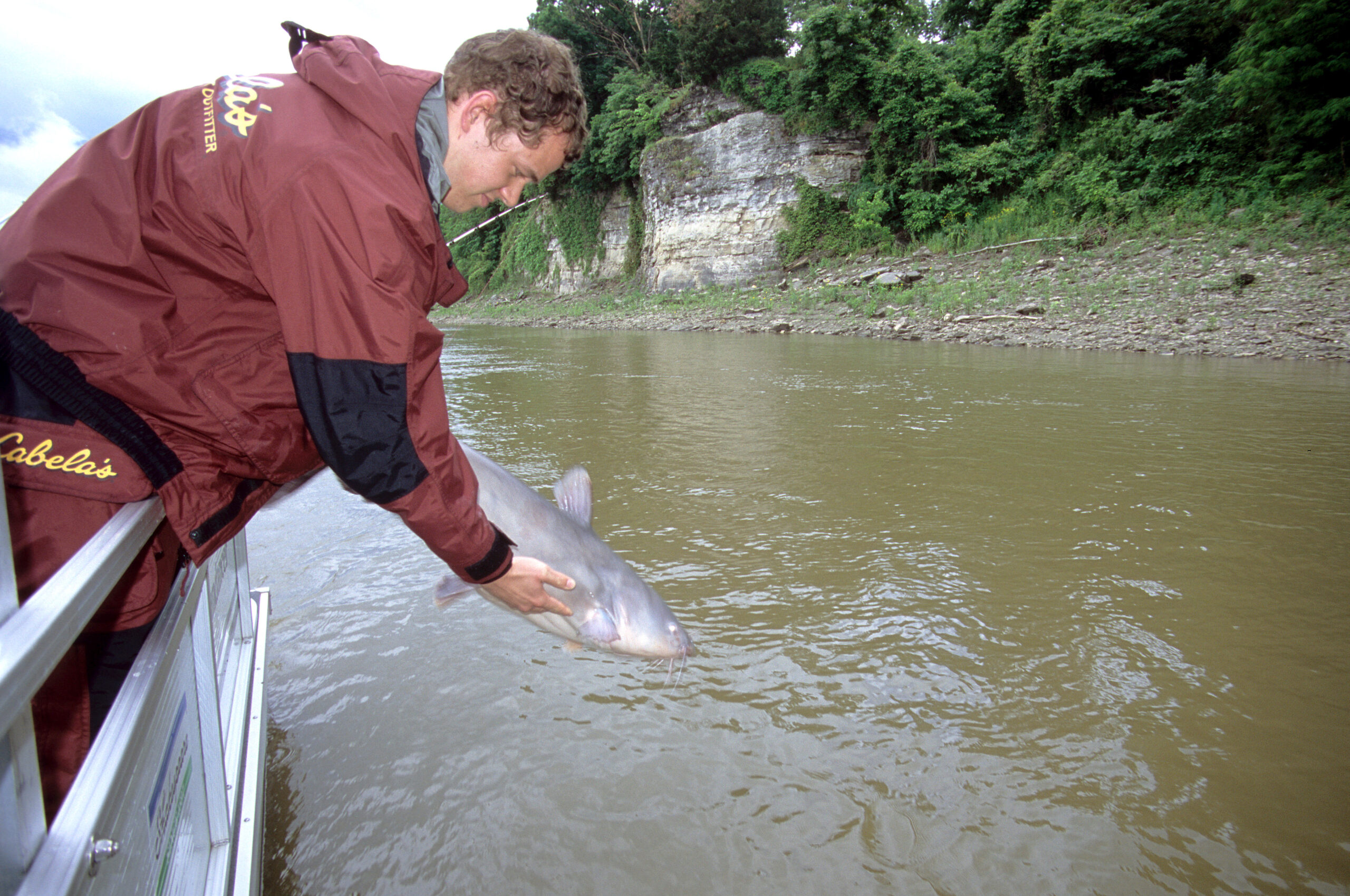 Blue Catfish 184