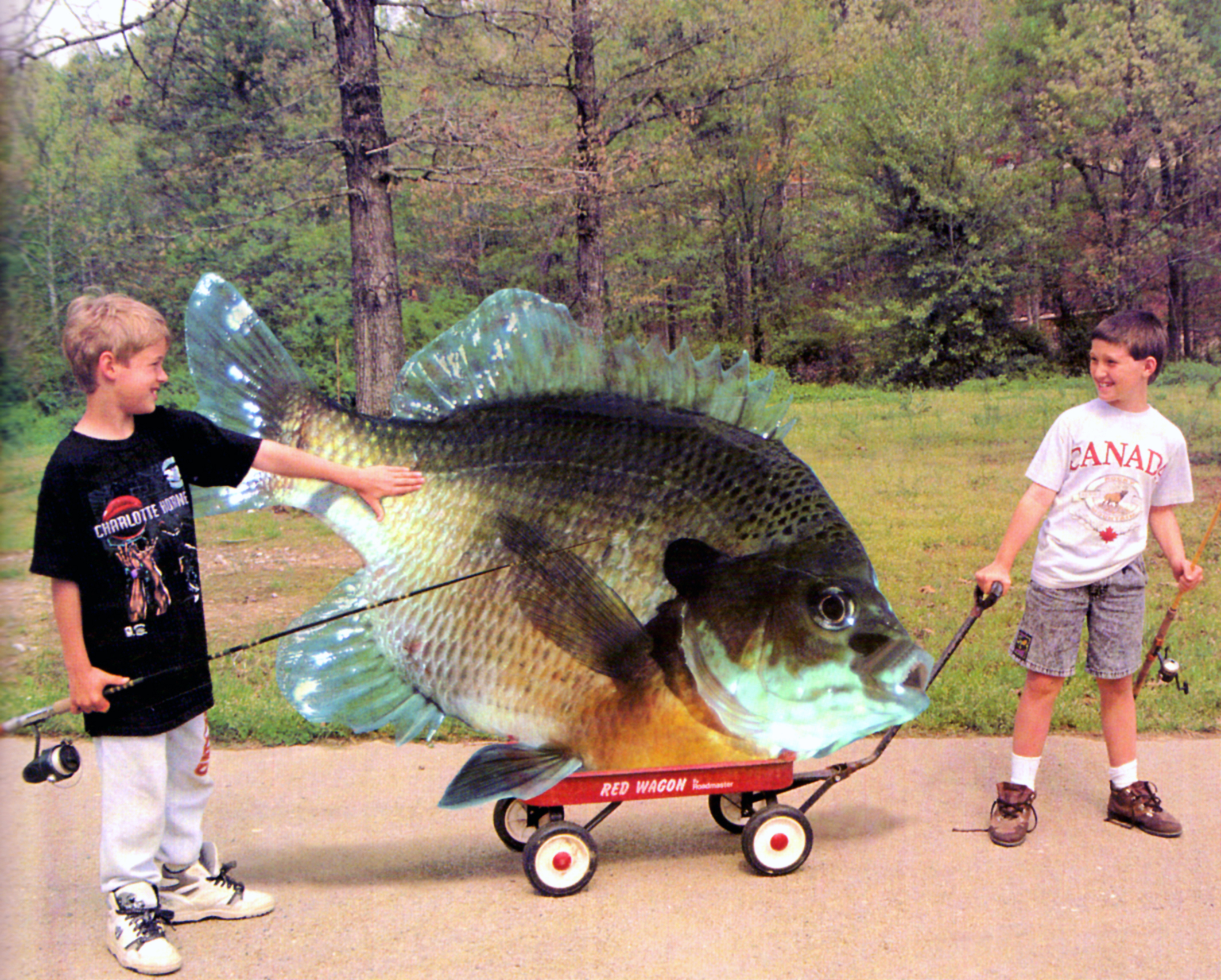 Bluegill 076