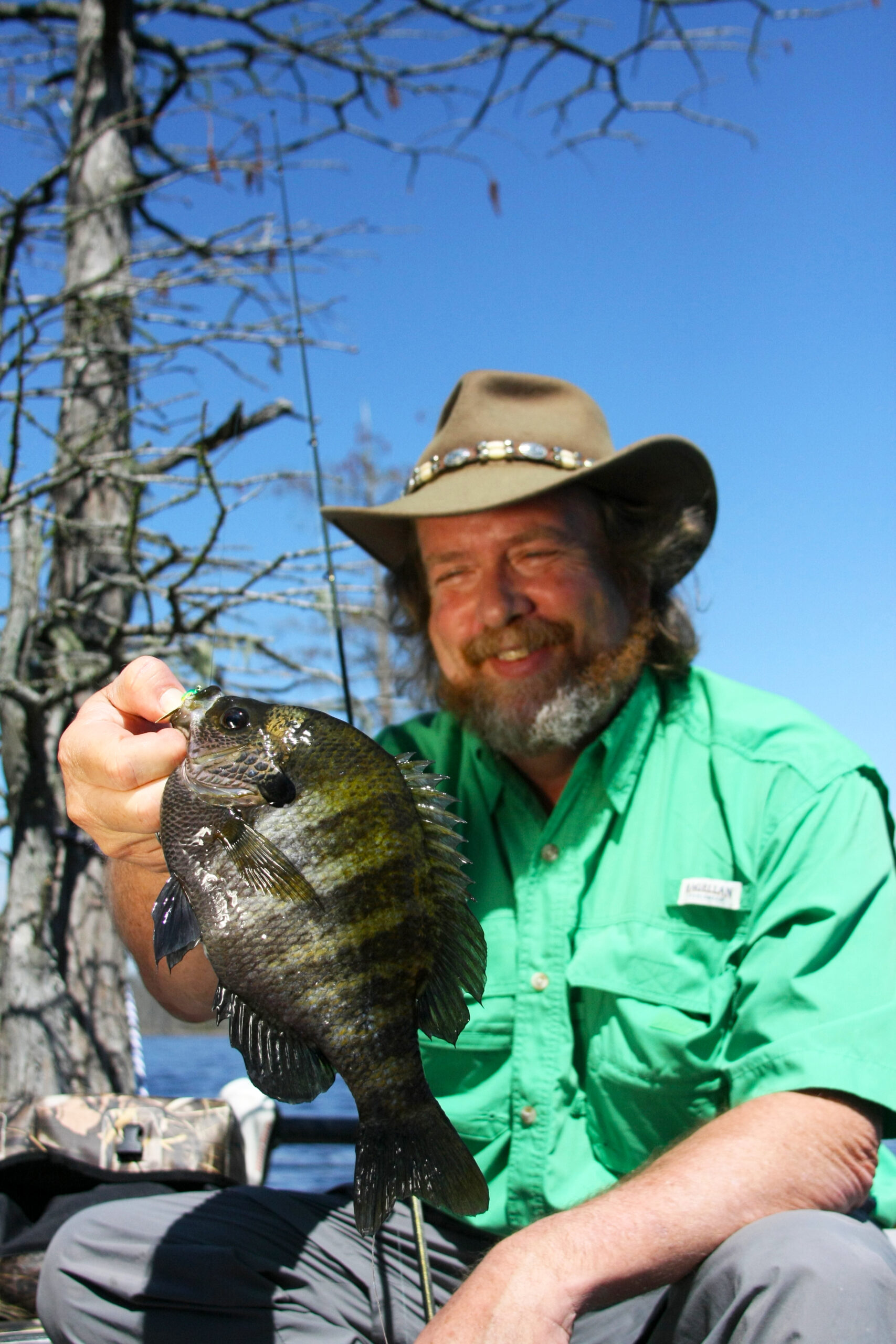 Bluegill 092