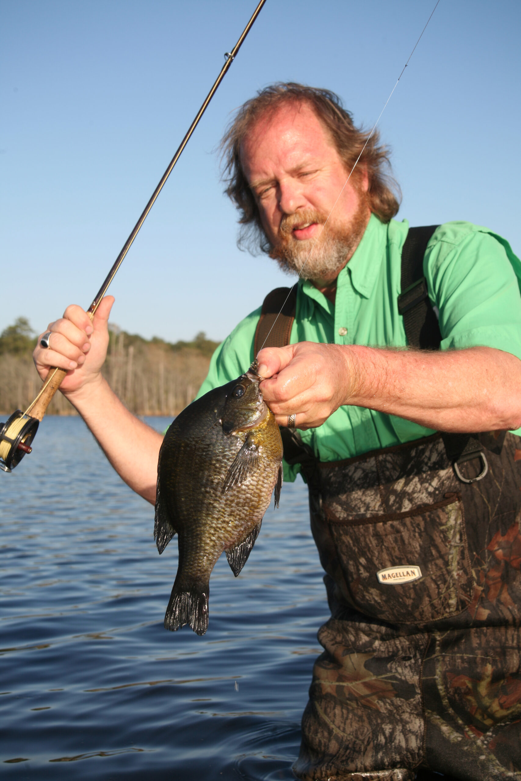 Bluegill 098