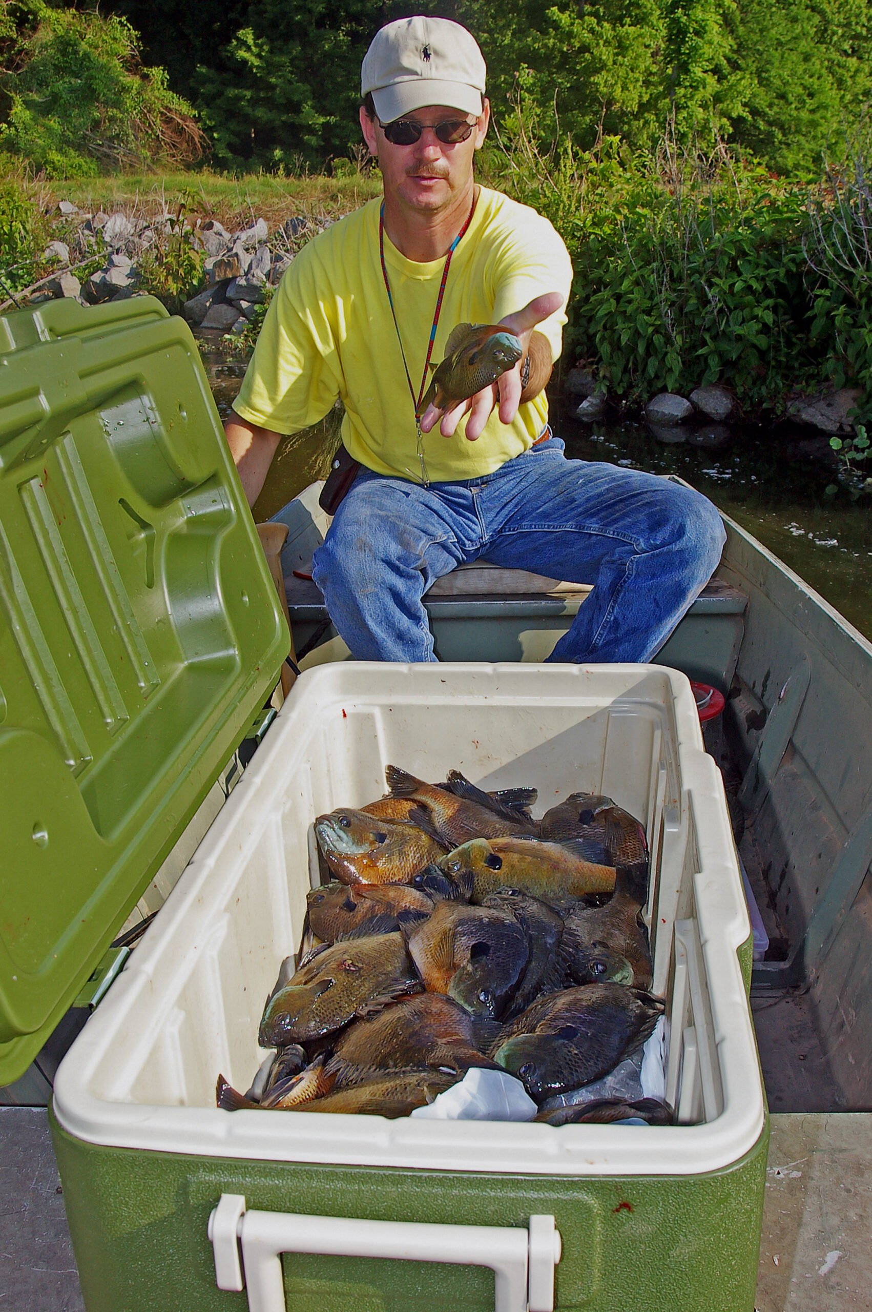 Bluegill Fishing 001