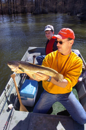 Bowfin 003