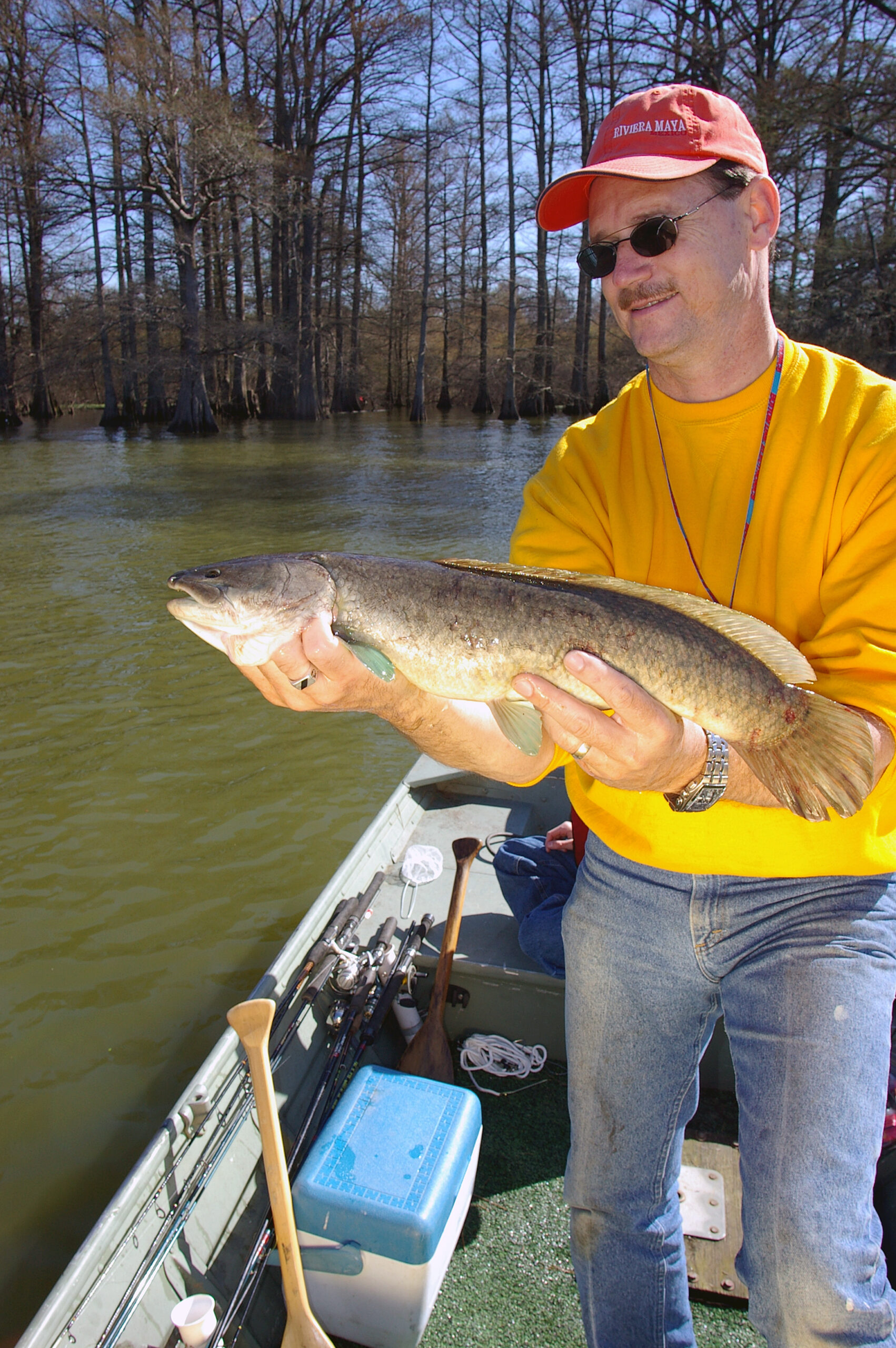 Bowfin 004