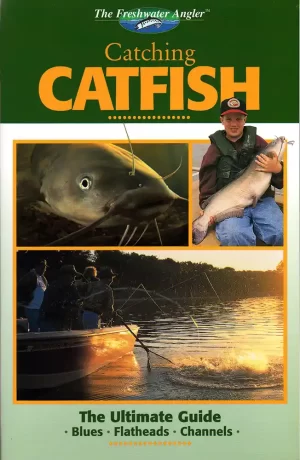 Catching Catfish Cover Photo