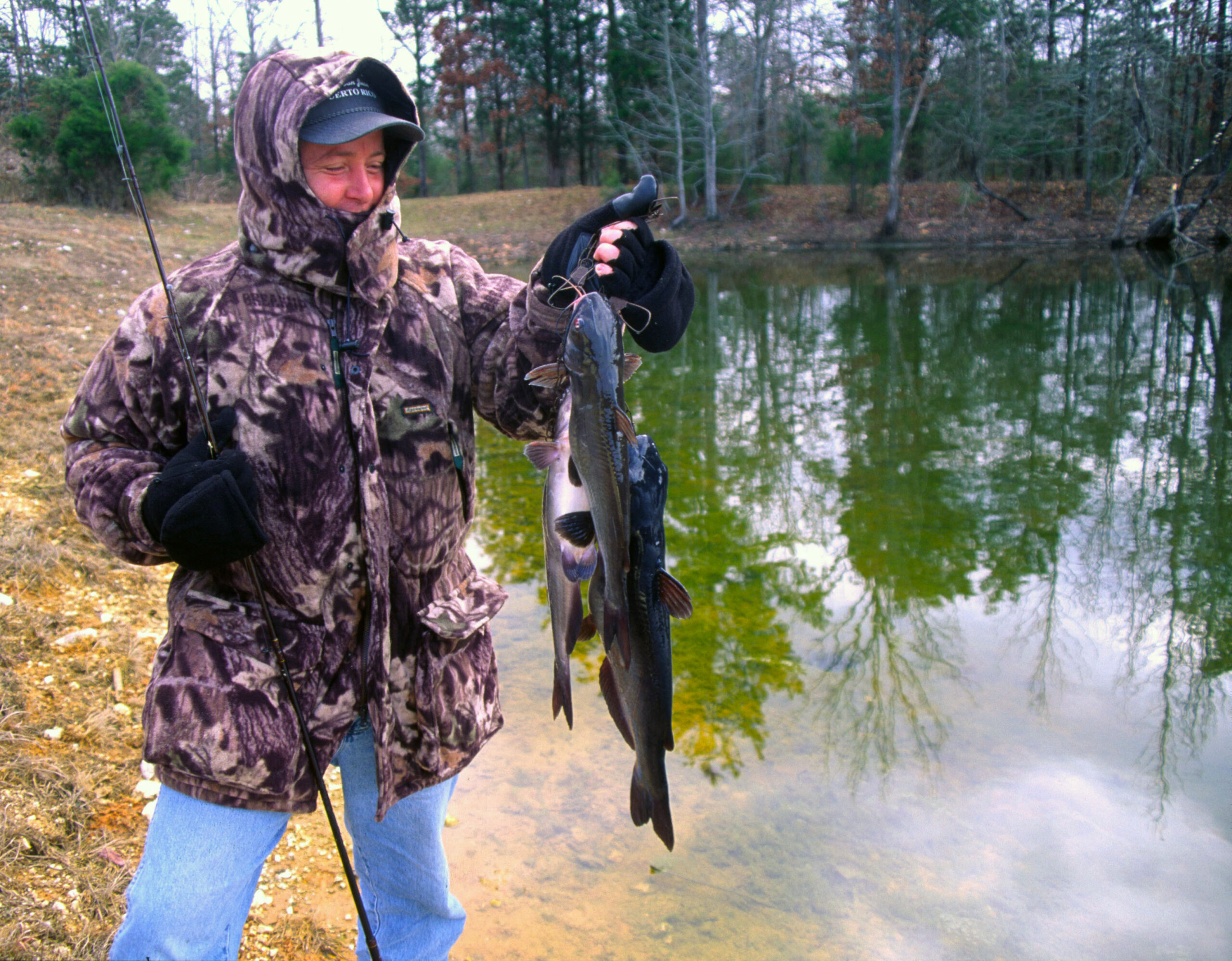 Channel Catfish 018