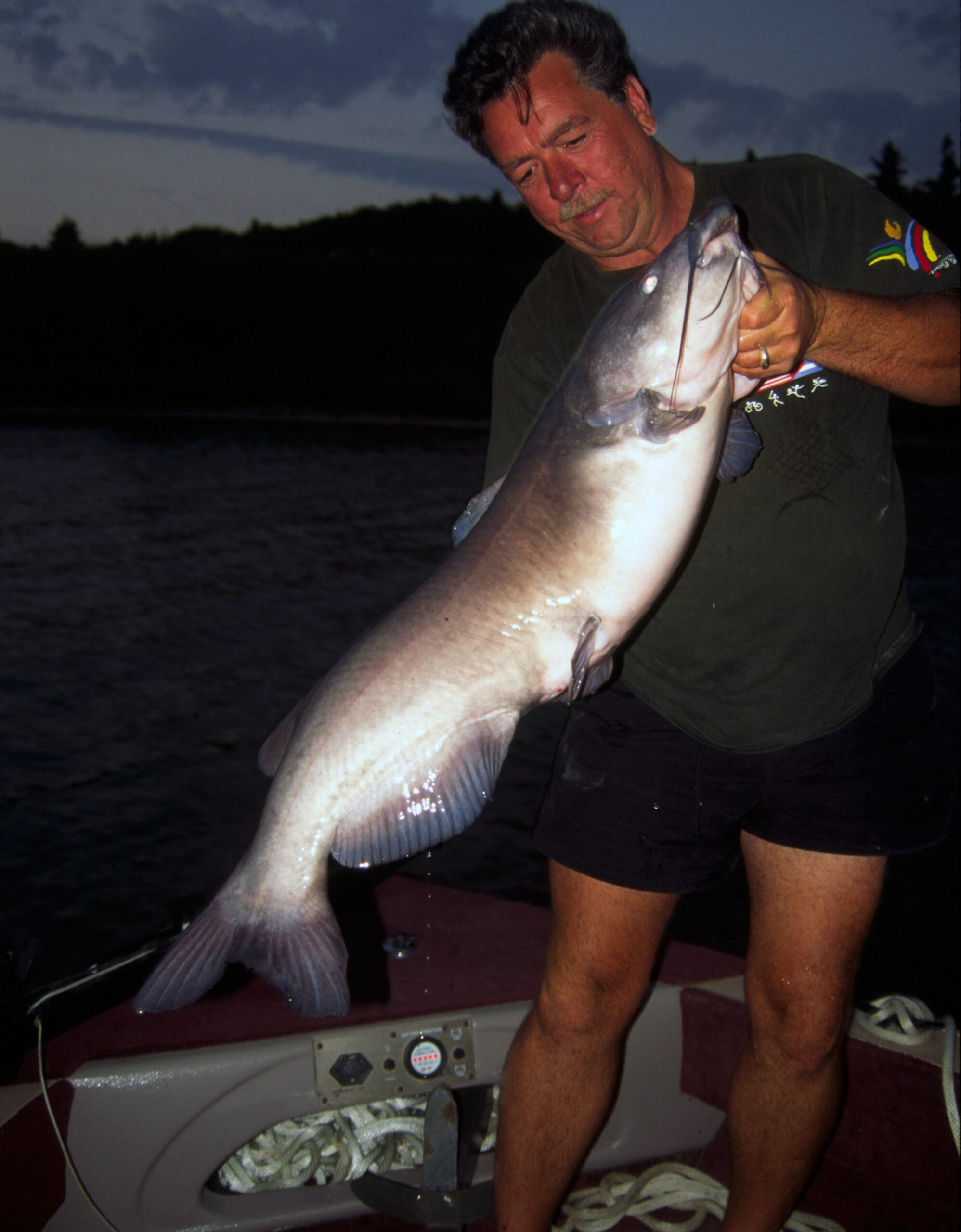 Channel Catfish 023