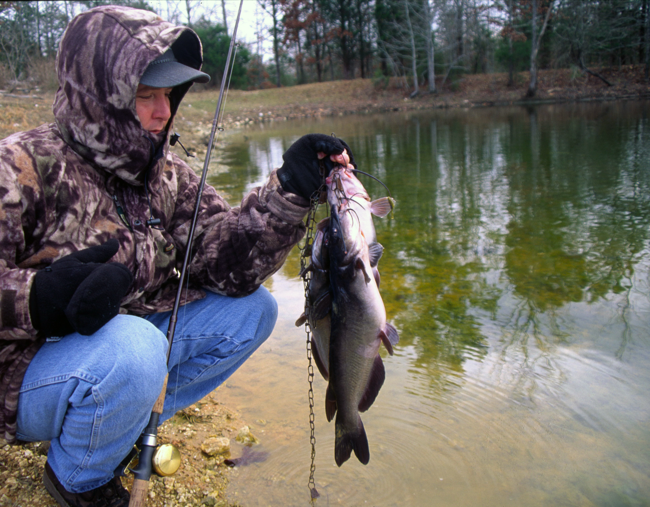 Channel Catfish 057