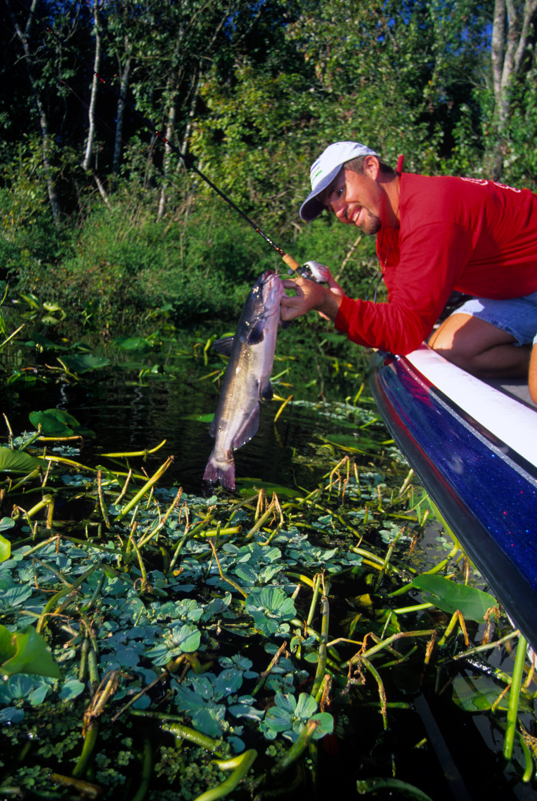 Channel Catfish 063