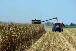 Corn Harvest Scott 08 07 12 002