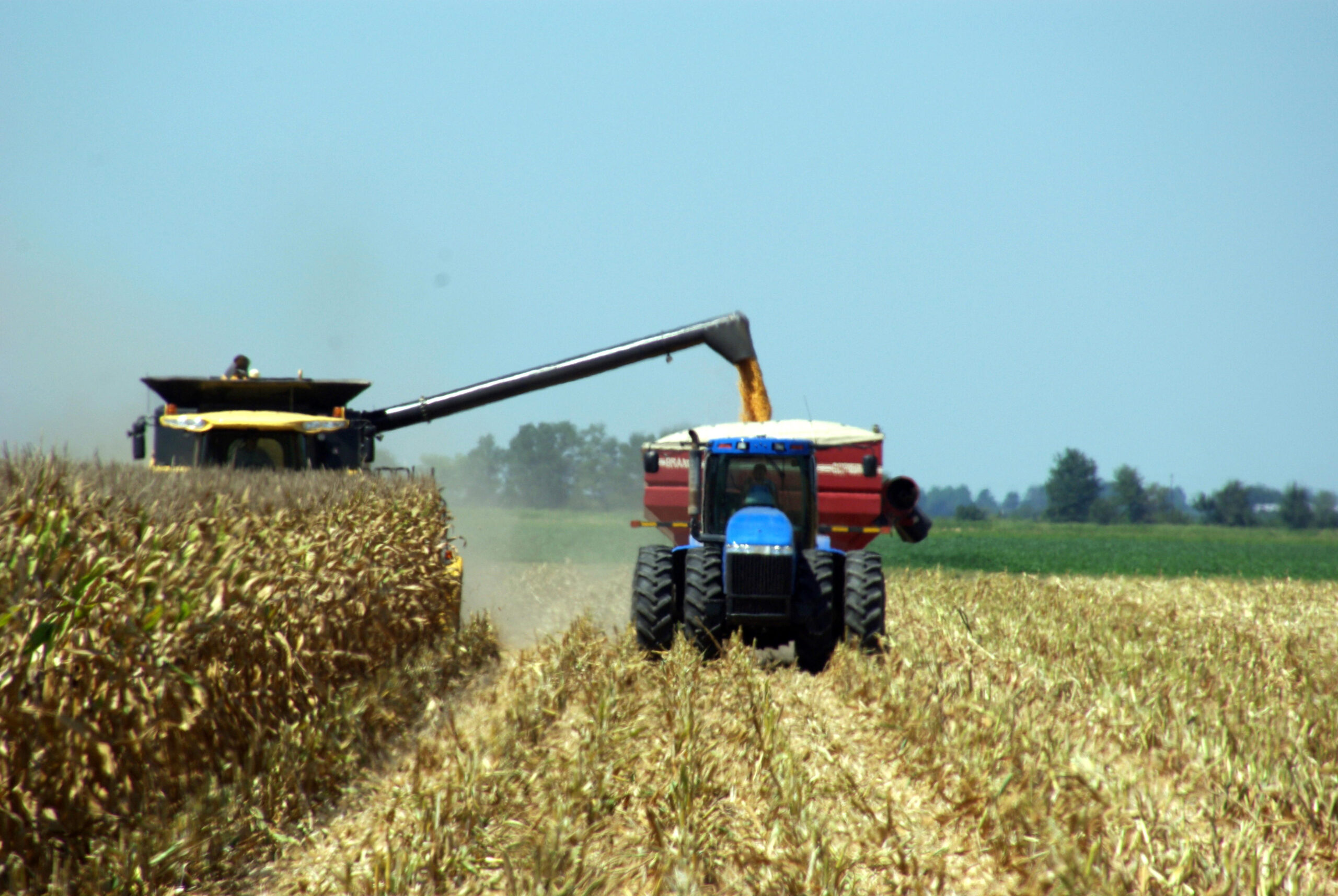 Corn Harvest Scott 08 07 12 003