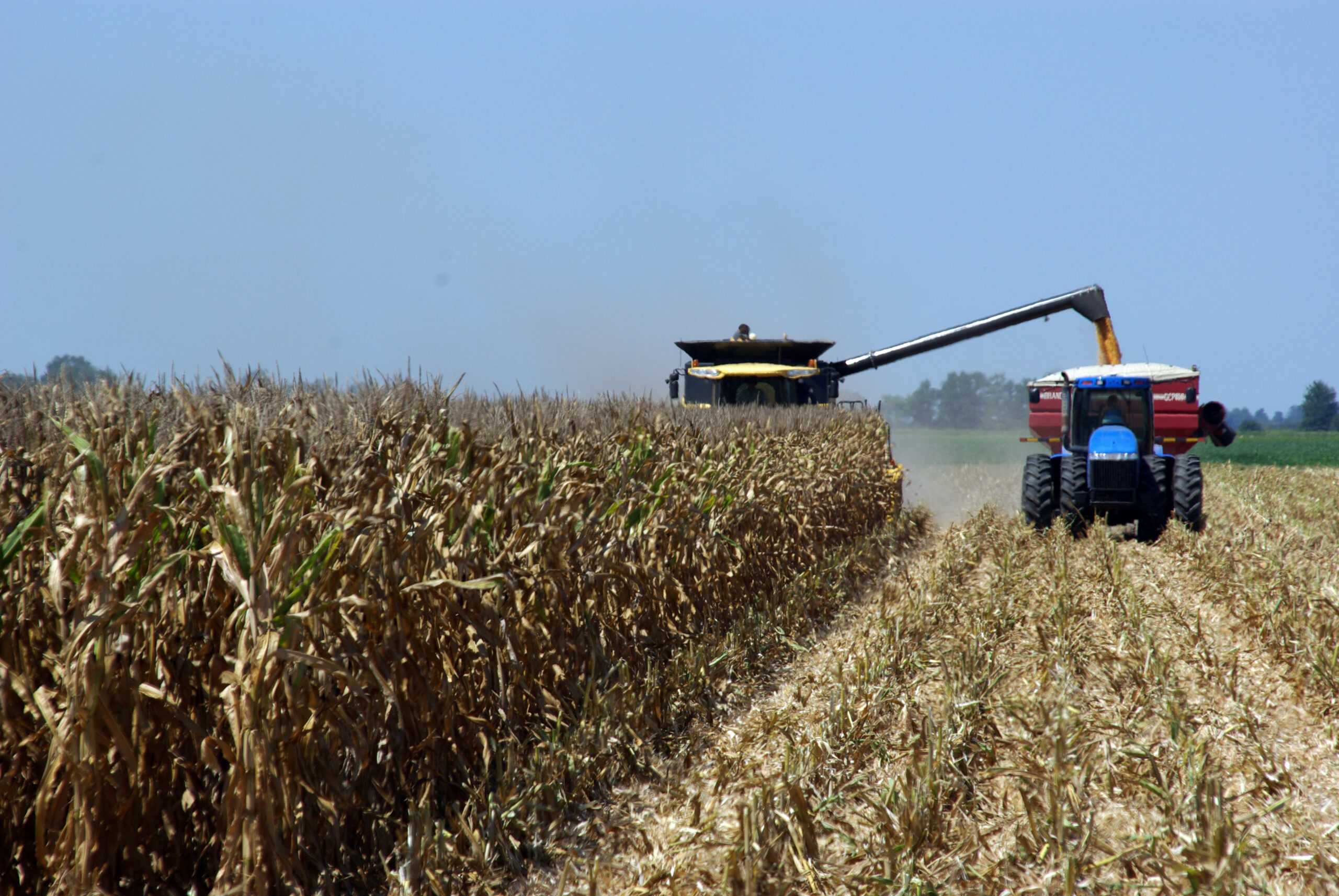 Corn Harvest Scott 08 07 12 004